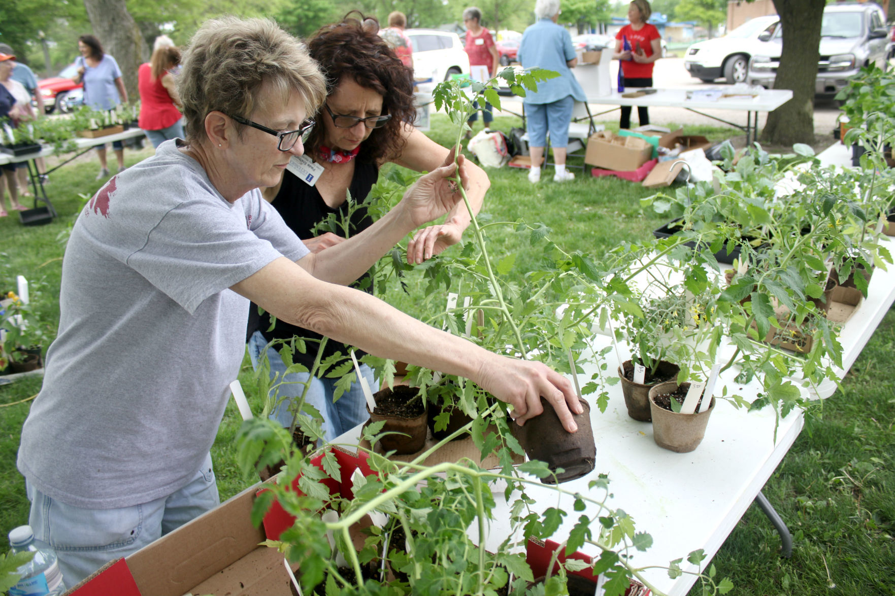 GARDENFEST HELD